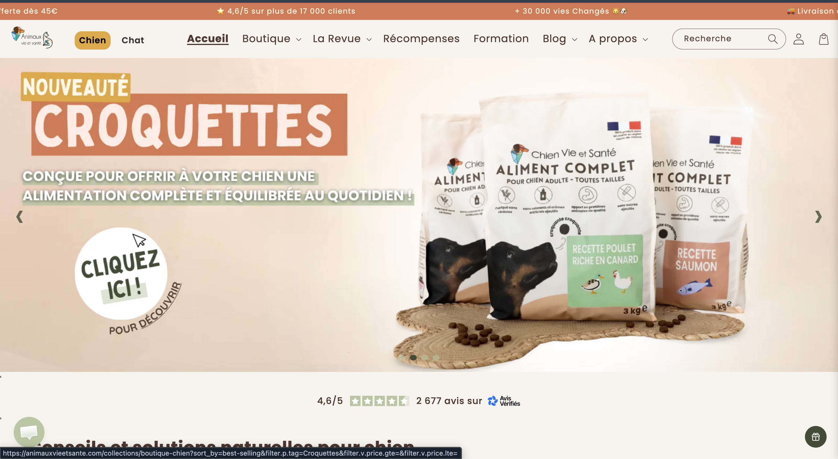 Migration et développement Shopify AVS